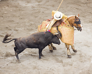 Image showing bull and bullfighter picador