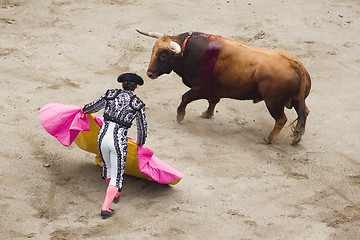 Image showing bull and bullfighter