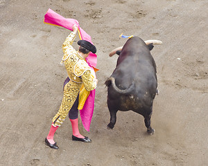 Image showing bull and bullfighter