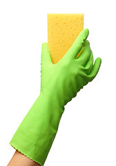 Image showing Hand in glove holding washing sponge