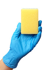 Image showing Hand in glove holding washing sponge