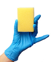 Image showing Hand in glove holding washing sponge