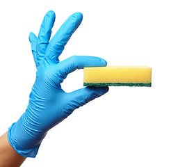 Image showing Hand in glove holding washing sponge