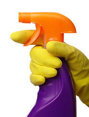 Image showing Hand holds sprayer with chemical cleaner