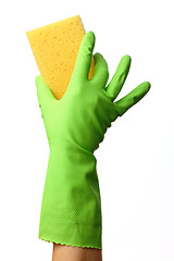 Image showing Hand in glove holding washing sponge