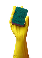 Image showing Hand in glove holding washing sponge