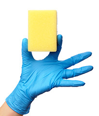 Image showing Hand in glove holding washing sponge