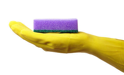 Image showing Hand in glove holding washing sponge