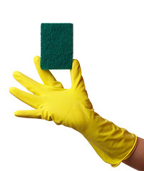 Image showing Hand in glove holding washing sponge