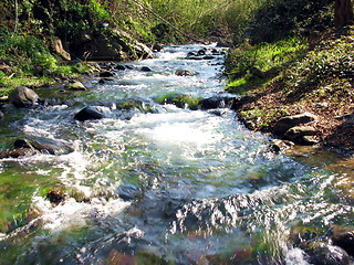 Image showing Green river. Kakopetria. Cyprus