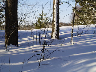 Image showing winter landscape