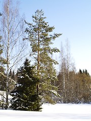 Image showing winter landscape