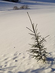 Image showing winter landscape