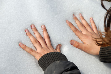 Image showing Arms on snow