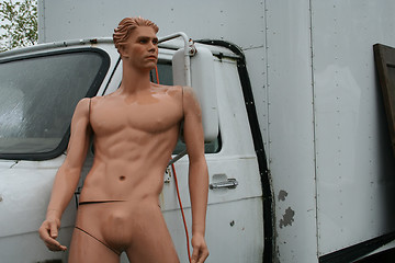 Image showing Naked Van Man
