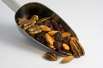 Image showing trail mix, scoop of nuts and berries