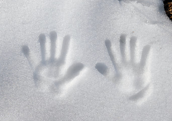 Image showing Arms print on snow surface