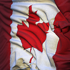 Image showing Flag of Canada, fluttering in the breeze, backlit rising sun