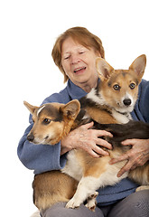 Image showing senior lady with her Corgi puppies