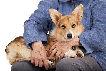 Image showing old hands and young puppy