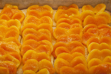 Image showing apricot pie freshly baked