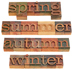 Image showing spring, summer, autumn and winter