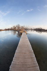 Image showing pathway through water