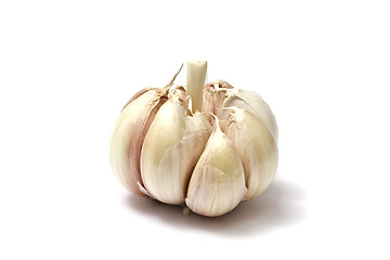 Image showing Garlic 