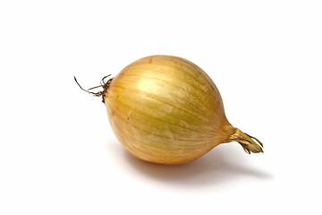 Image showing Onion