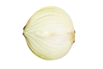 Image showing Onion