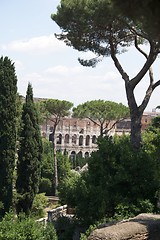 Image showing Forum Romanum and Colloseum in Rome