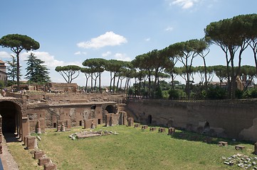 Image showing Forum Romanum in Rome