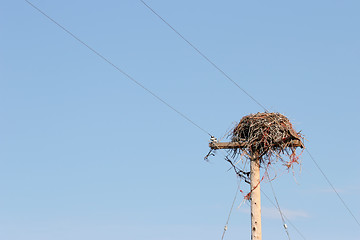 Image showing large nest on utility pole