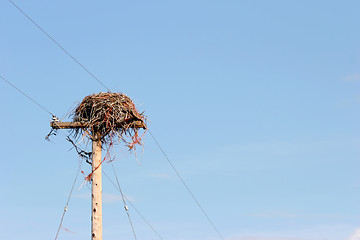 Image showing birds nest on pole