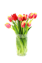 Image showing Tulips in vase