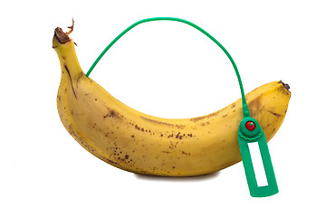 Image showing Banana  Transportation