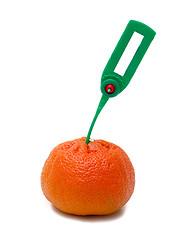 Image showing tangerine Transportation