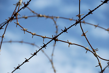 Image showing Barbed wire on blue sky background