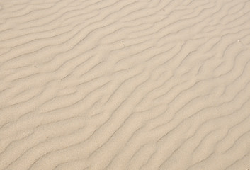 Image showing Light sand texture with diagonal pattern