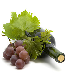 Image showing bottle of wine with grape wine leafs and vine