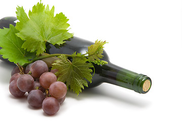 Image showing bottle of wine with grape wine leafs and vine