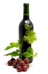 Image showing bottle of wine with grape wine leafs and vine