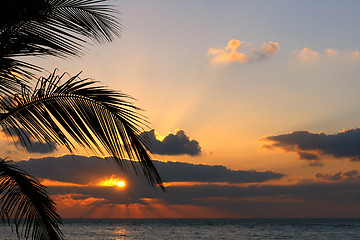 Image showing orange sunset on tropical island with palm 