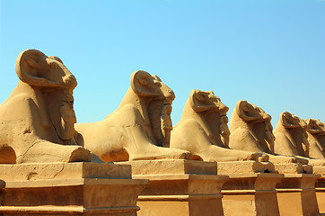 Image showing egypt statues of sphinx in karnak temple