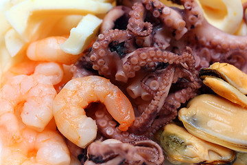 Image showing cocktail of seafood close-up
