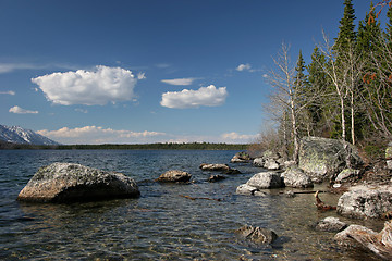 Image showing grand teton jenny lake shoreline