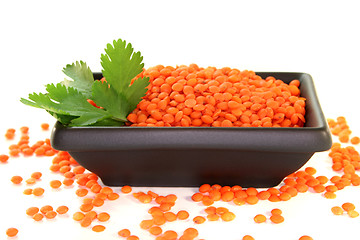 Image showing red lentils