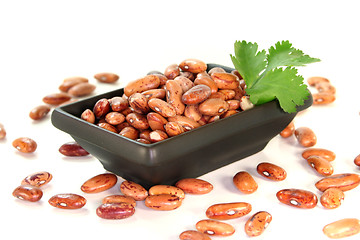 Image showing Pinto beans