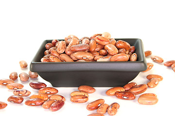 Image showing Pinto beans