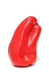 Image showing Red pepper isolated